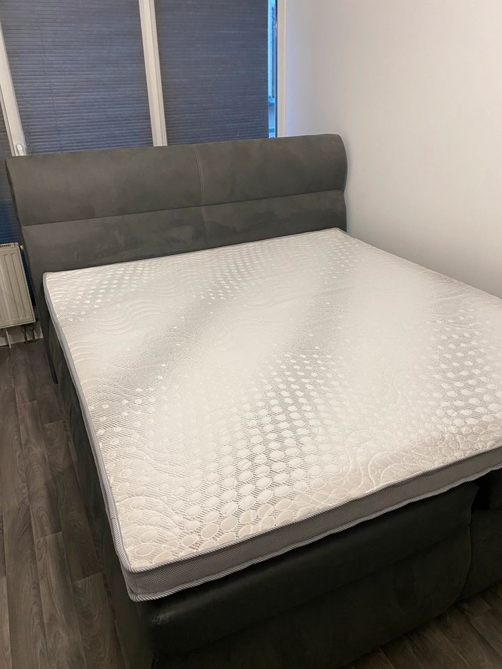 Boxspringbett 180x200 in Köln