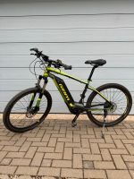 E-Bike Giant Mountainbike Dirt-E Sachsen-Anhalt - Quedlinburg Vorschau