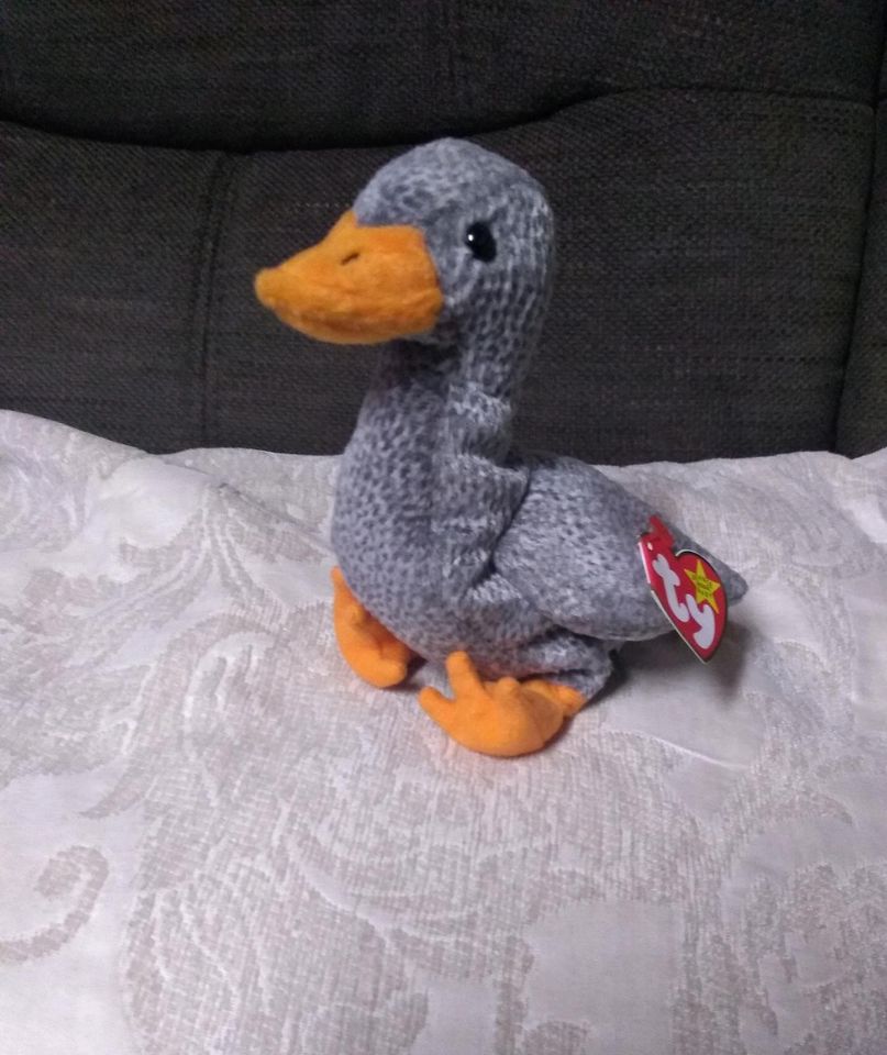 Ente original ty Beanie baby Hanks neu in Hambrücken