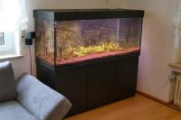 Aquarium komplett 400 l Bayern - Senden Vorschau