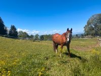 Pflegebeteiligung Bayern - Lindau Vorschau