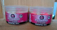 Mainline Fluoro Pop-Ups Pink & White "ESSENTIAL CELL" 14 mm NEU Niedersachsen - Bad Bentheim Vorschau