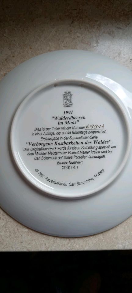 Carl Schumann, Waldbeeren im Moos in Großwallstadt