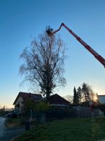 Baumpflege, Baumfällung, Arbeiten mit Kran, Hubarbeitsbühne Bayern - Erlangen Vorschau