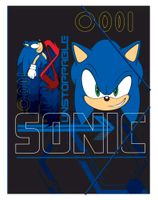 Sonic the Hedgehog Go A/4 Mappe mit Gummiband Neu! 3,99€ Brandenburg - Potsdam Vorschau