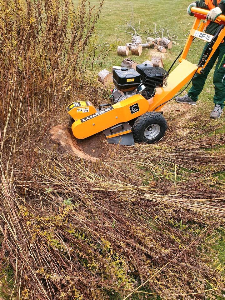 Gartenpflege dauerhaft ,  Gartenarbeiten,  Pflanzungen,  Planung in Glienicke/Nordbahn