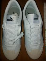 Puma 42 neu Nordrhein-Westfalen - Sassenberg Vorschau