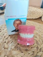 3M  Clarity Advanced ceramic brackets typodont Medicine Bayern - Peiting Vorschau