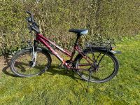 Fahrrad in Lila Niedersachsen - Adelebsen Vorschau