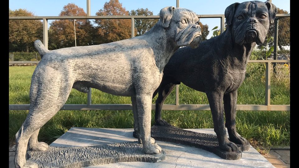 Boxer Lebensgroß 120kg 75cm Hund Steinguss Rüde Welpe Steinfigur in Hannover