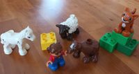 Lego Duplo Tierbabys auf dem Bauernhof Baden-Württemberg - Amtzell Vorschau
