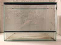 Terrarium aus Glas mit zwei sehr praktischen Schiebtüren Dresden - Laubegast Vorschau