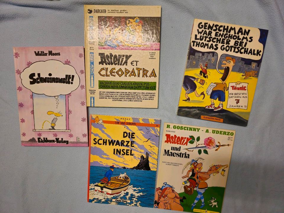 Sammlung Asterix und andere Conics in Lauf a.d. Pegnitz