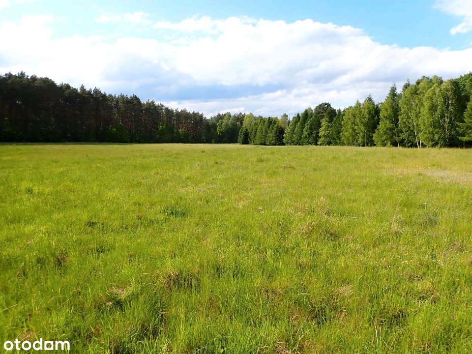 Investitionsgrundstück in Polen 69590m² / 7 ha in Frechen