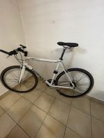 Fitnessrad Epple Race Cat (Rennrad mit normalem Lenker) Bayern - Bibertal Vorschau