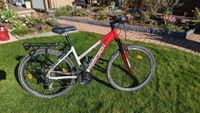 Mountainbike Fahrrad Centurion Backfire Fit 100 Shimano 13,1kg Sachsen - Beucha Vorschau