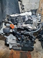 Motor 1.6 TDI CAY CAYC Audi VW Cupra Seat Skoda 2009-2015 Baden-Württemberg - Künzelsau Vorschau