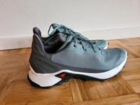 Salomon Alpha Cross running Hessen - Idstein Vorschau
