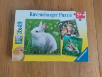 Ravensburger Puzzle 3x 49 Teile Baden-Württemberg - Dornstadt Vorschau