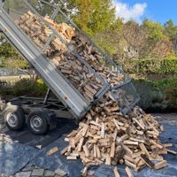 Kaminholz Brennholz Feuerholz Birke Eiche Robine 25/33/50cm Brandenburg - Senftenberg Vorschau