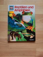 Was Ist Was Reptilien und Amphibien Bayern - Hallstadt Vorschau