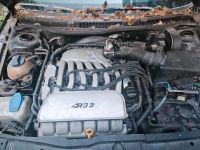 Golf 4 2.8L V6 Motorpacket Nordrhein-Westfalen - Freudenberg Vorschau