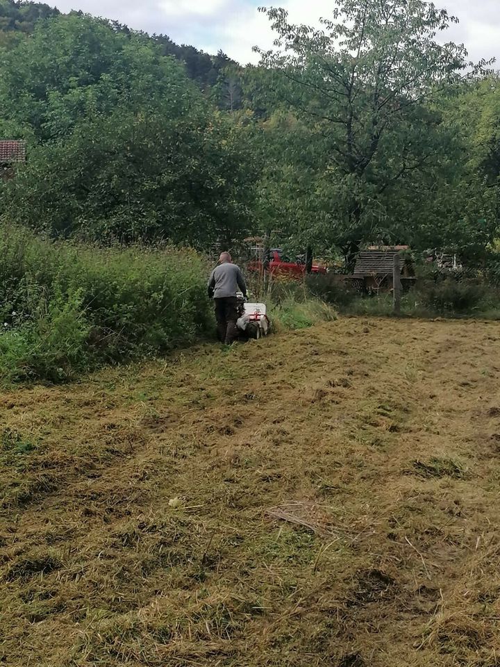 Garten und Landschaftsbau,Baumfällung,Zaunbau in Arnstadt