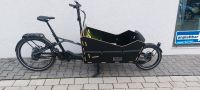 E-Lastenrad Kettler Cargoline Enviolo 43cm Rh. Nordrhein-Westfalen - Beckum Vorschau