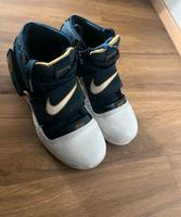 Nike LeBron Zoom Soldier 1 Think 16 25 Straight Baden-Württemberg - Bingen Vorschau