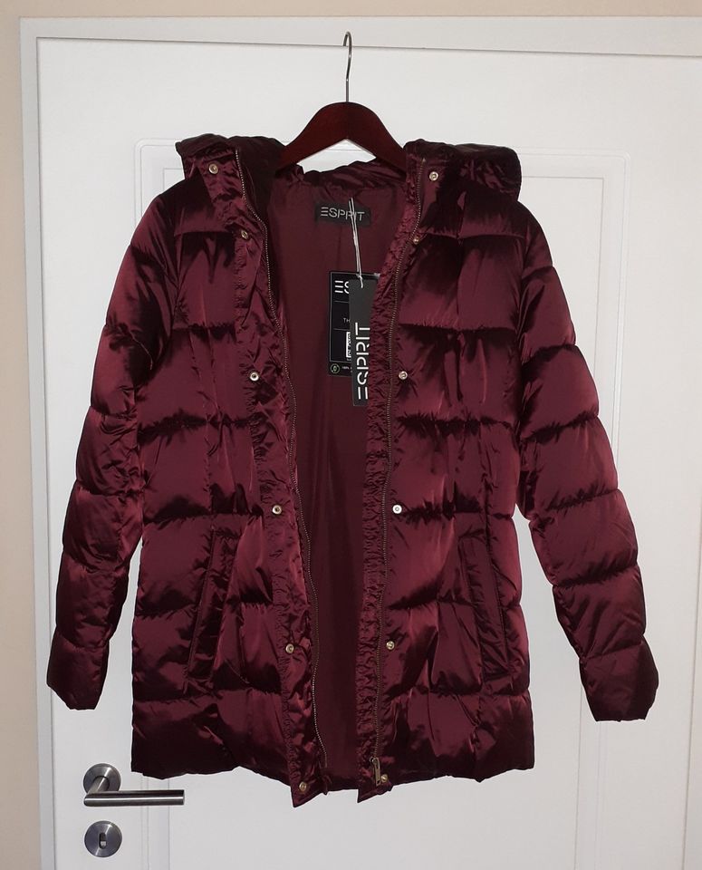 Winterjacke von "Esprit", GR. M - NEU mit Etikett in Bedburg-Hau