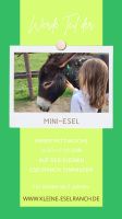 Eselzeit für Kids ab 2 Jahren / Mini-Esel Hessen - Einhausen Vorschau