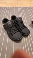 Adidas Freerider Canvas Schuhe NUR BIS 05.03 Rheinland-Pfalz - Wallmenroth Vorschau
