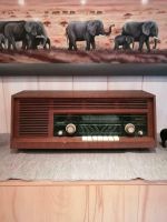 Philips Sirius 433 B4D33A Röhrenradio Rarität! Duisburg - Walsum Vorschau