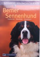 Bücher Berner Sennenhund Parchim - Landkreis - Crivitz Vorschau