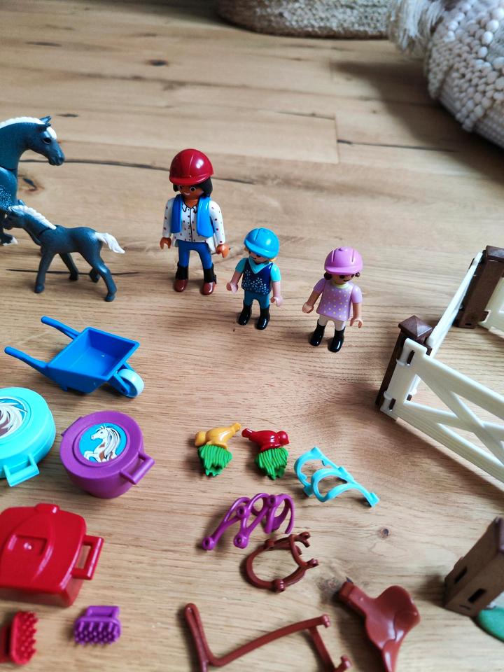Playmobil Country Adventskalender Pferde Igel Pony in Eching (Kr Freising)