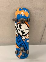 Zwei Skateboards Baden-Württemberg - Karlsruhe Vorschau