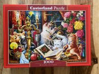 Castorland Puzzle 1000 Teile - Wizard Kittens Schleswig-Holstein - Trappenkamp Vorschau