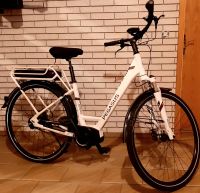 E-Bike PEGASUS Opero E8F DI2 Damenrad Rheinland-Pfalz - Birken-Honigsessen Vorschau