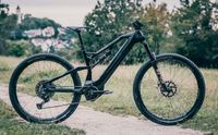 AirRay 12.0 E-MTB, E-Bike, Pedelec, Carbon MTB Bayern - Marktredwitz Vorschau