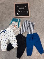 Baby Set Hose Stoffehose Jogger Pumphose Handmade gr 74 Brandenburg - Eberswalde Vorschau