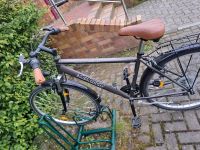 Herren Fahrrad Rostock - Dierkow Vorschau