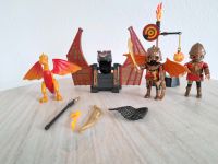 Playmobil 70226 Novelmore Kampftraining des Drachen Baden-Württemberg - Böblingen Vorschau