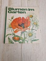 DDR Buch: Blumen im Garten Kinderbuchverlag Berlin Sachsen - Schleife (Ort) Vorschau