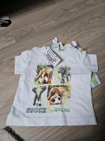 Set Tshirt und Shorts Gr. 74 Nordrhein-Westfalen - Erftstadt Vorschau