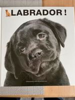 Labrador Fotografien Buch Nordrhein-Westfalen - Lüdinghausen Vorschau