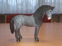 Schleich aktuelle Pura Raza Española Stute Pferd Reiterhof Baden-Württemberg - Römerstein Vorschau