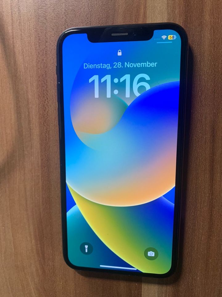 iPhone X 256 GB Spacegrau in Donauwörth