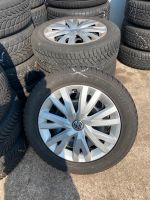 VW Audi Skoda Seat Winterräder 205 55 16 Dunlop 5/8mm Colditz - Colditz Vorschau