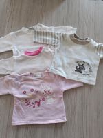 Pullover Baby 50-56 (4er Set) Brandenburg - Jüterbog Vorschau