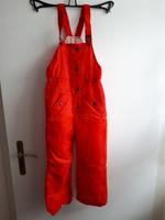 DDR Vintage Thermohose , Skihose, Latzhose Spezitex 128 Sachsen-Anhalt - Petersberg (Saalekreis) Vorschau